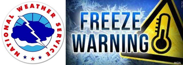 Freeze Warning Issued In Sacramento Valley Continues