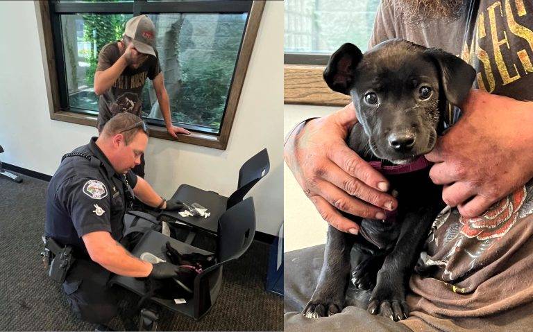 Yuba City Police Officer Saves Puppy from Fentanyl Overdose