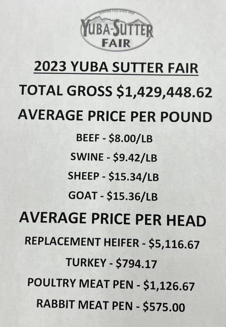 Impressive Numbers from Yuba-Sutter Fair Junior Livestock Auction