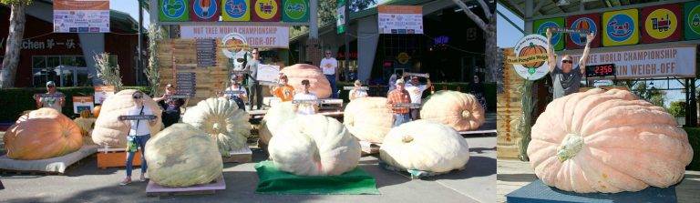 National Pumpkin Weigh Off Coming to Wheatland