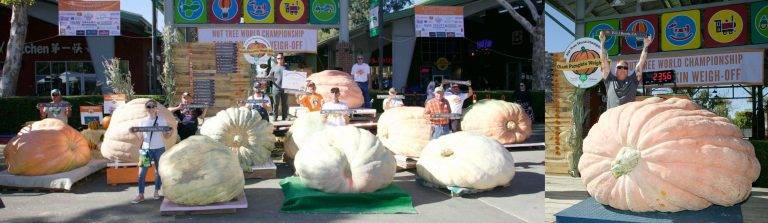 National Pumpkin Weigh-Off Coming to Wheatland Saturday