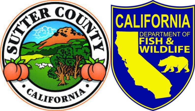 California Department of Fish and Wildlife Targets Sutter County Cannibas Grows