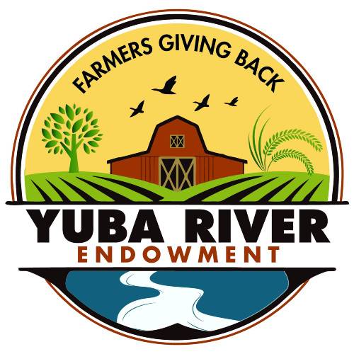Yuba River Endowment Board Votes to Donate $40,000