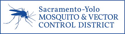 West Nile Virus Found In Mosquitos In Yolo County