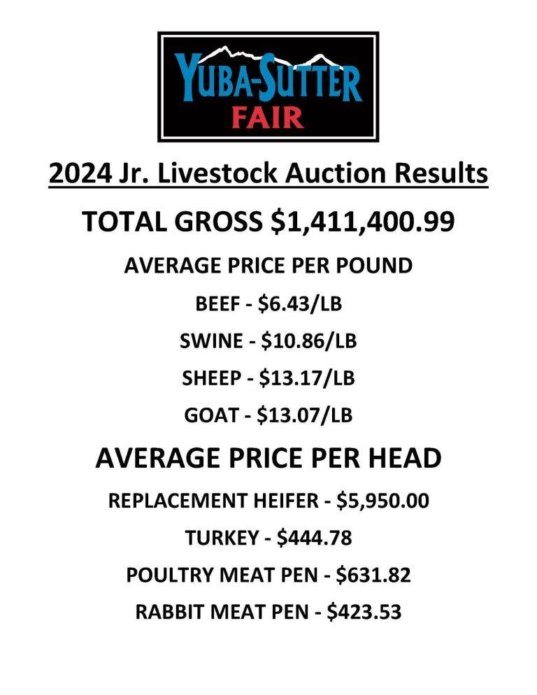 Another Outstanding Livestock Auction at Yuba-Sutter Fair