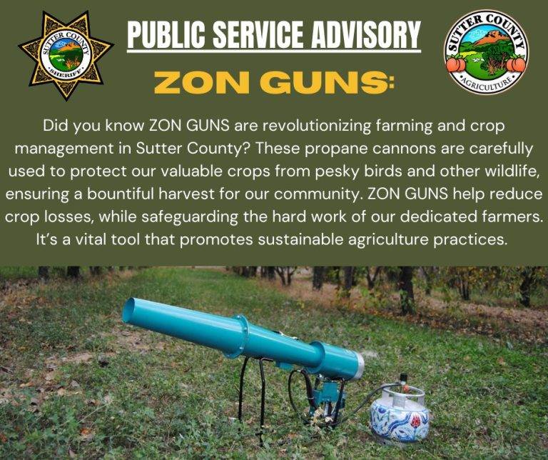 Sutter County Sheriff Issues Public Service Advisory on Zon Guns