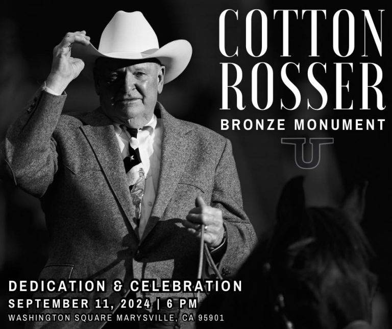 Cotton Rosser Statue to be Dedicated, Cattle Drive Canceled