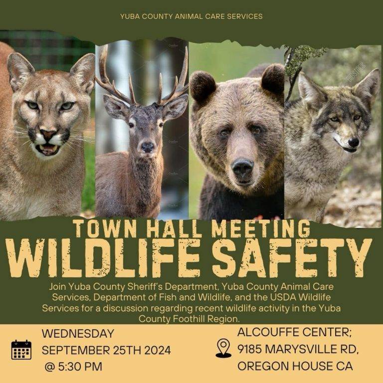 Yuba County Wildlife Sightings Town Meeting